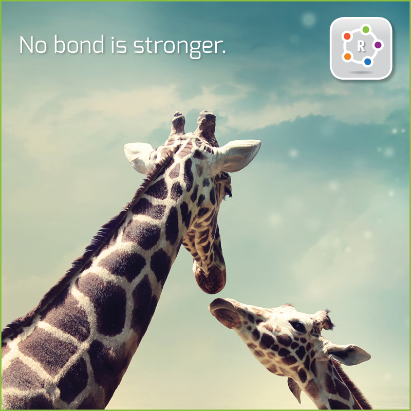 RingAroundApp's tweet photo. 🌍Calling Mom in #Ethiopia using prepaid cards? Use #RingAroundApp & say goodbye to the old way of doing things. Best Quality ~ Fair Rates ~ InApp Recharge ~ Try it
🇪🇷 🇰🇪 🇸🇴 🇪🇹 🇩🇯 🇸🇩 🇸🇸 🇹🇿
GooglePlay➡️ https://t.co/EWULwuWFCc
Apple➡️ https://t.co/fogEYqQZaZ https://t.co/gHkuutjChW