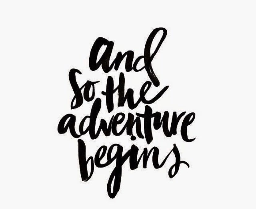 JCAWakefield's tweet photo. “.............and so the adventure begins” We can’t wait to welcome our whole community back on Monday. New book environments, refreshed places to learn & exciting learning journeys await! #JCACurriculum #JCAAdventure https://t.co/c8fMkvoZkZ