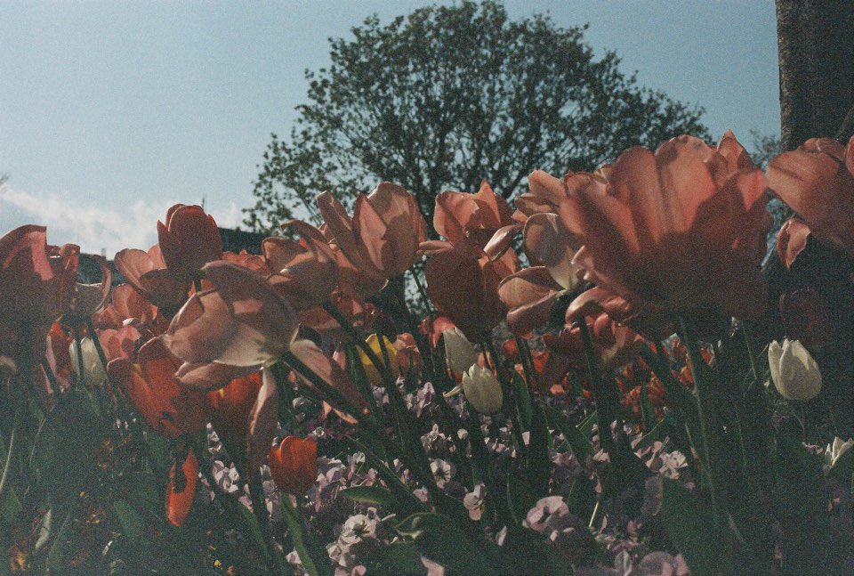 [17'S 민규] 2019하드털이❤️