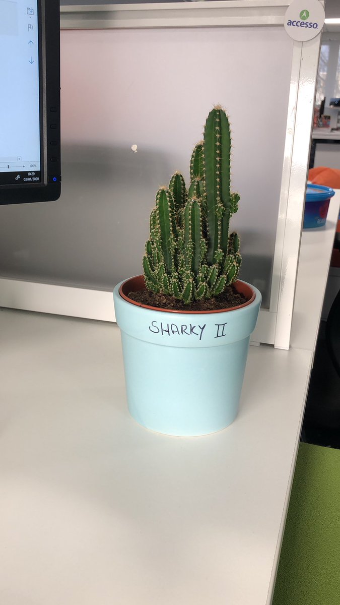 Download Bitspikeythat Hashtag On Twitter For Android Free Wallpaper Bitspikeythat Hashtag On Twitter Desktop Wallpaper