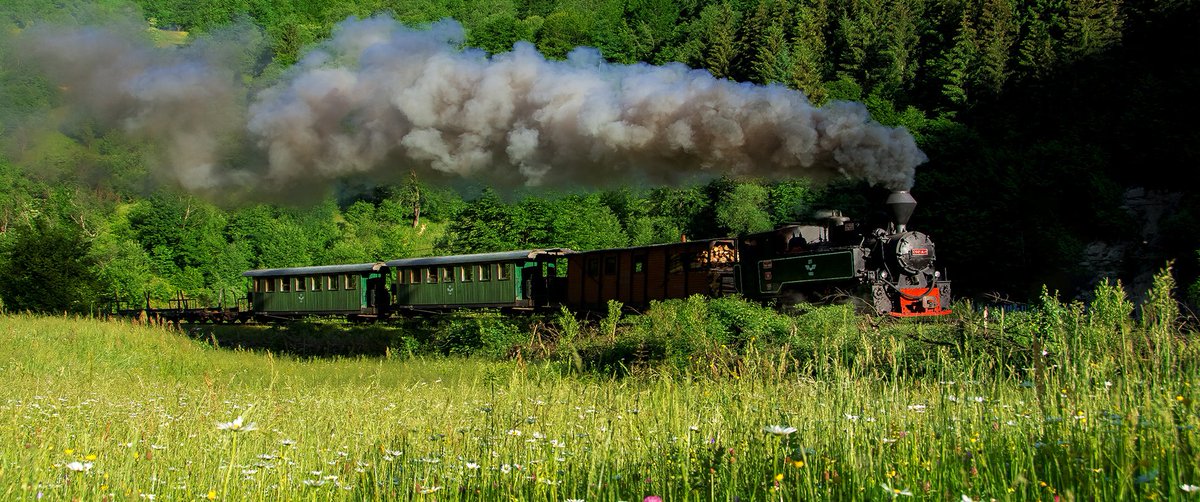ro_trains's tweet photo. @TelegraphTravel Visit Romania - Visit old narrow gauge from town Viseu de Sus Photo: ©Daniel Andreica https://t.co/t2JhqCI7Uj