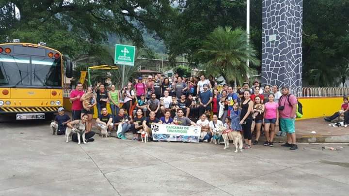 brendasantisima's tweet photo. Tamanique, La Libertad 
#PerriturismoES #CaminataConPerros #SomosLosUnicos 
#UnPerroMasAmigos #EducacionCanina #TurismoFamiliar #TurismoElSalvadorEsMasQueSurf .#PatitasDePaseo 
#TurismoVIP https://t.co/kYieuKpsBE