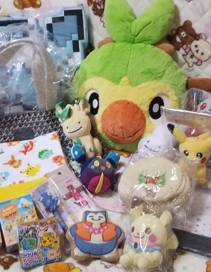ポケモンセンター福袋21 オンライン予約はいつから 店頭販売は何時から並ぶ 中身ネタバレも ゆるゆる主婦のガチブログ