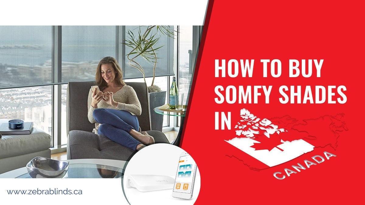 Zebrablindsca's tweet image. How to Buy Somfy Shades in Canada - zebrablinds.ca/blog/how-to-bu… - #AutomatedHome, #SmartMotorizedZwaveBlindsandShades, #SomfyCanada, #SomfyWindowShades