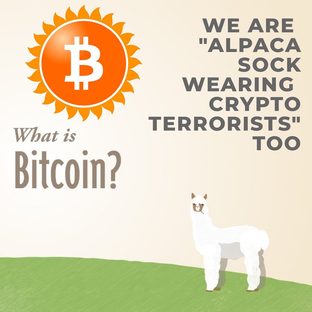 BitcoinSolarOff's tweet photo. We are "alpaca-sock-wearing crypto-terrorists " too!

Join Bitcoin Solar, Join Money Revolution! https://t.co/Bo6iu9ukjy