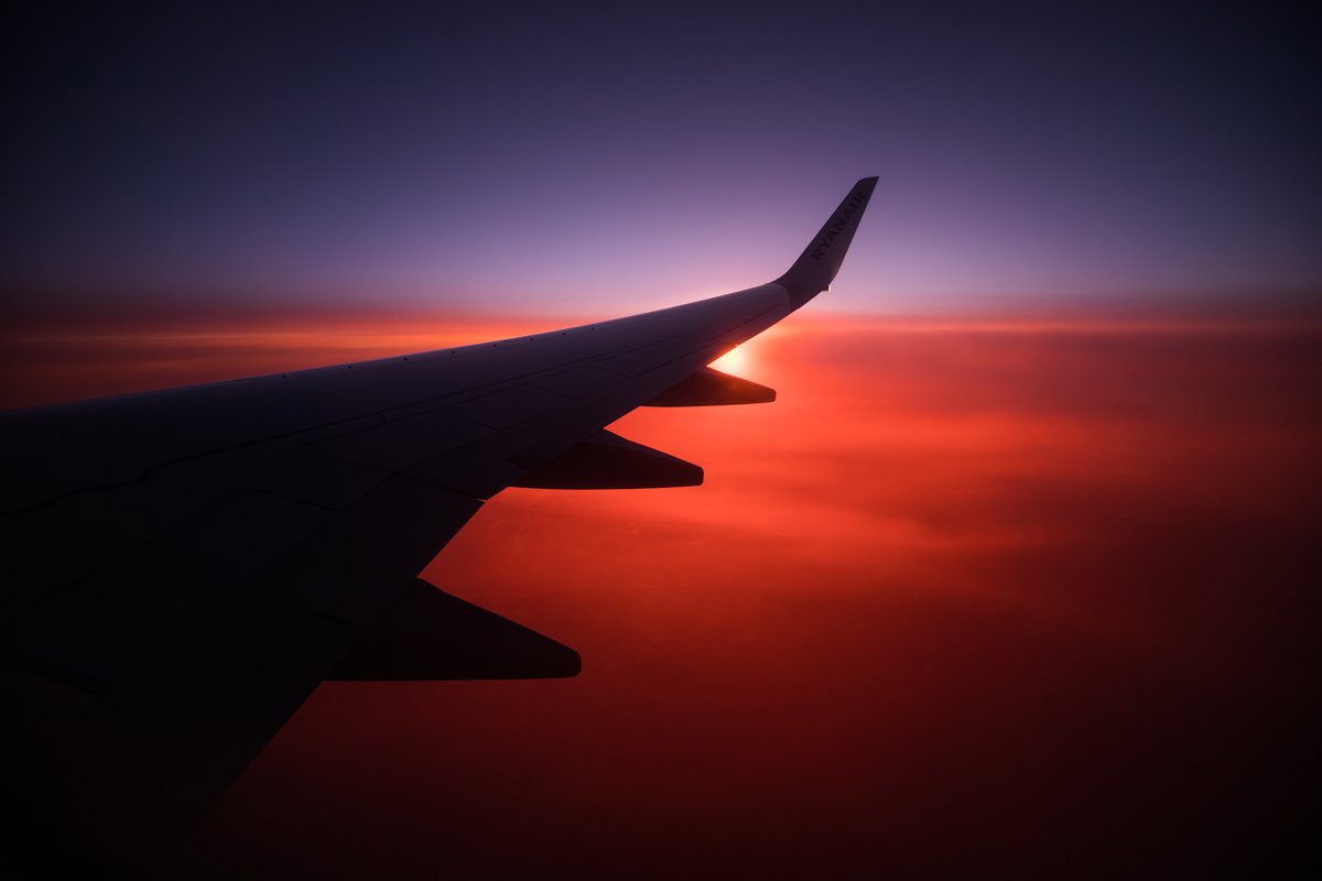 Mateusz Majewski tweet media