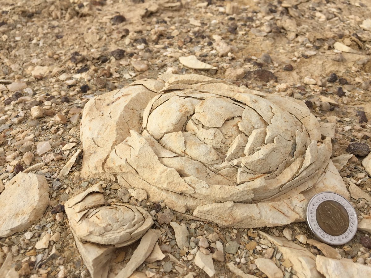 Exfoliation Weathering