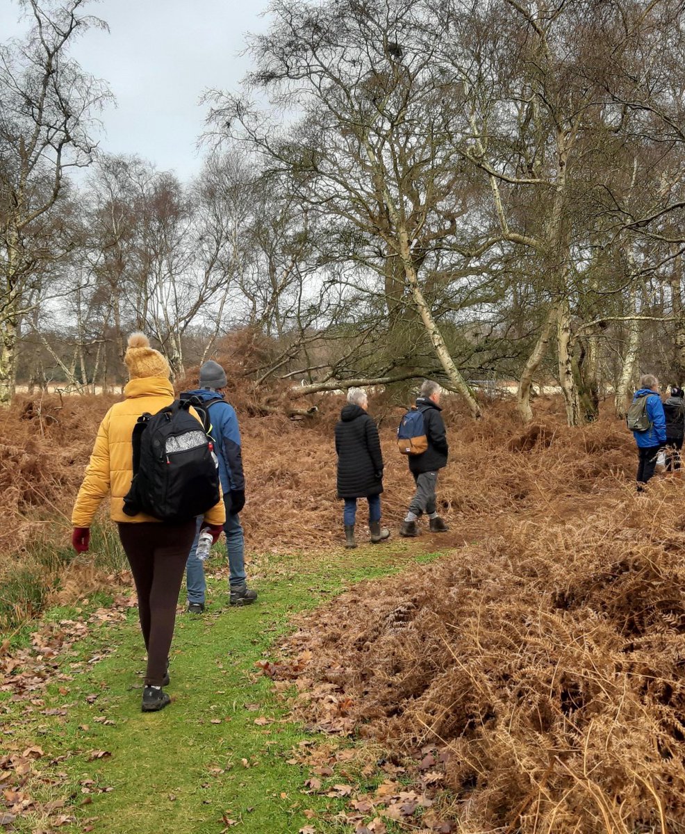 Mindful Walking Group – Suffolk walkinginspirit.co.uk/2020/01/03/min…