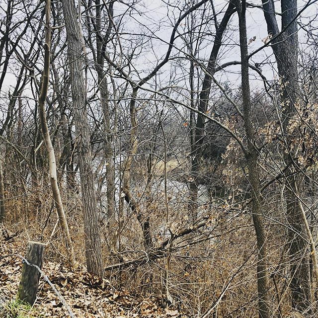 #talkedtotheboss 
He said to focus on gratitude today: tell Him what you are grateful for &amp; why. 
Tell the people around you why you appreciate them.
Be conscious of what you have, not what you want.

pic by <a href="/laurekrupp/">laure</a>