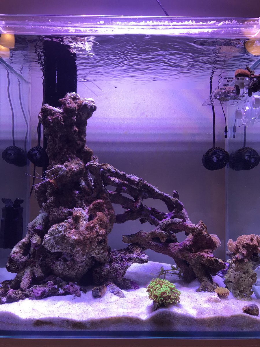 ﾗｲﾌﾞﾛｯｸ