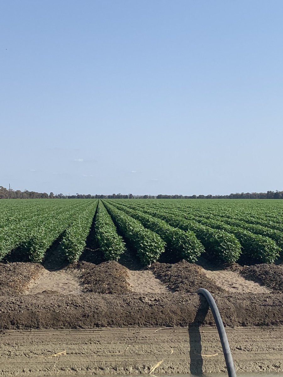 Tim Richards tweet media