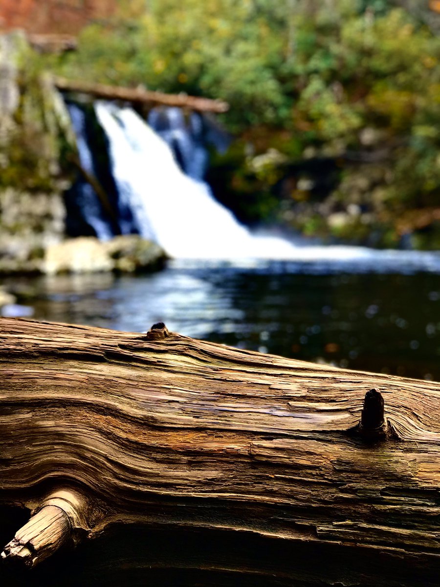ZachHood9's tweet photo. One of the most beautiful places on earth, Tennessee! #Tennessee #hiking #waterfall #outside #outdoors #naturelovers #nature #photographer #NationalPark https://t.co/SK00YZmH4c