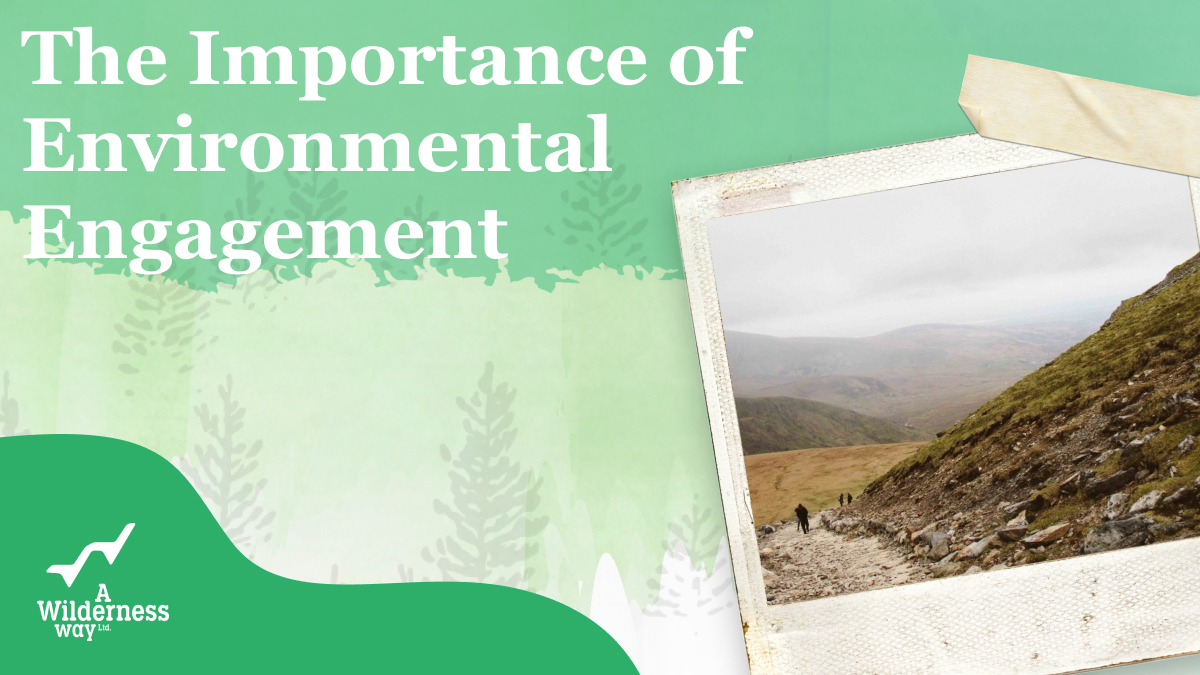 A Wilderness Way tweet media