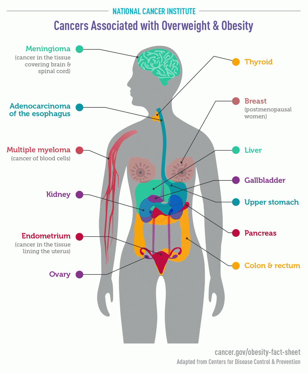 How might obesity increase the risk of cancer? There are several possible mechanisms: cancer.gov/about-cancer/c…
