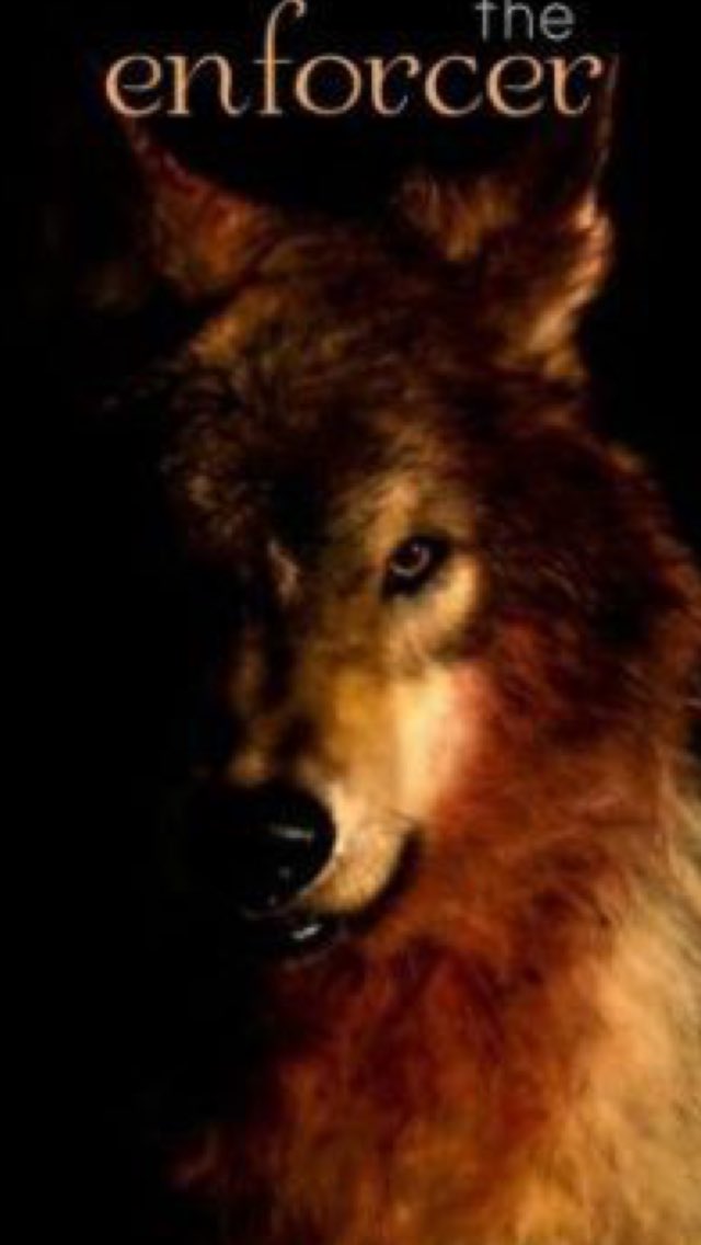 DamienWolf tweet media