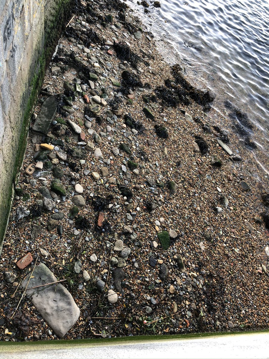 happyhillers's tweet photo. #litter haul today at #StonePierBeach and #harbourside #glassbottles and #fishingline taken home for #recycling items were #hat #cableties #singleusebottles #plastic beer glasses #wire #lids #wrappers #cans #polystyrene #styrofoam @LitterFreeCoast @LitterFreeDrst @2minbeachclean https://t.co/a9ftvGWgxr
