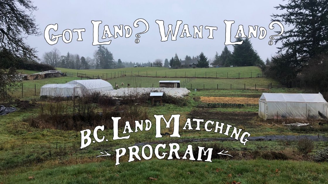 youngagrarians's tweet photo. LAND OPPORTUNITY: A one acre established market garden in Cowichan Bay is all set up and ready to go!
Looking for land? Have land to lease? Reach out to azja@youngagrarians.org to learn more about the B.C. Land Matching Program!
#BCLMP #GrowBC #BCAgri
https://t.co/4bBvnSyNUk https://t.co/sENQzOlyBp