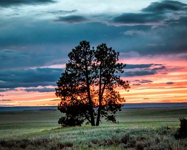 visitsemontana's tweet photo. When all the colors come together #OutHereMT. ⁠
Photo credit: @drobinson_mt⁠
⁠.⁠
.⁠
.⁠
#OnlyinSEMT #mySEMT #sunset #montanasunset #getoutside #nature #southeastmontana #montana https://t.co/fIRc9VdcpD https://t.co/Ff9h8ufEC5