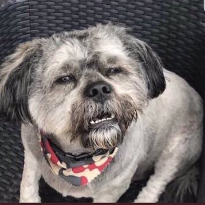 UbFromCopify's tweet photo. #NewProfilePic https://t.co/PpioRomeeo