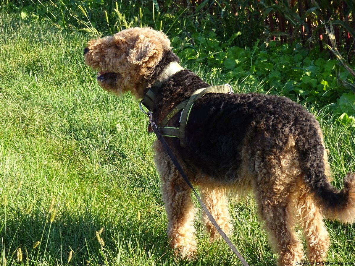 Ernie and Berti tweet media