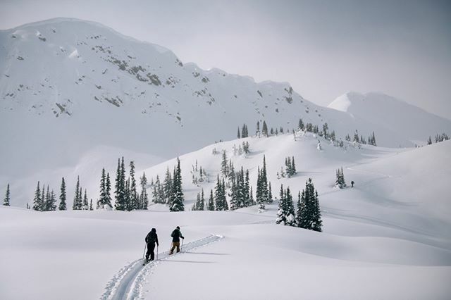 Ski❄Service❄Verbier tweet media