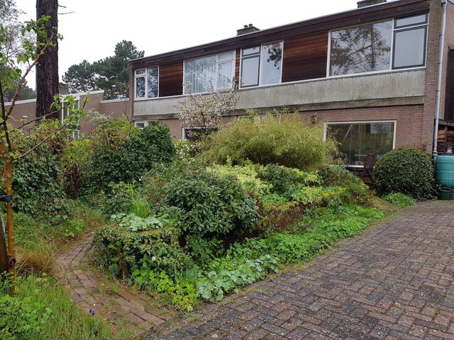 Grote woning te koop aan de  Lutinelaan op Vlieland. Gelegen aan de rand van het bos en geschikt voor beroep aan huis. makelaardijvisser.nl