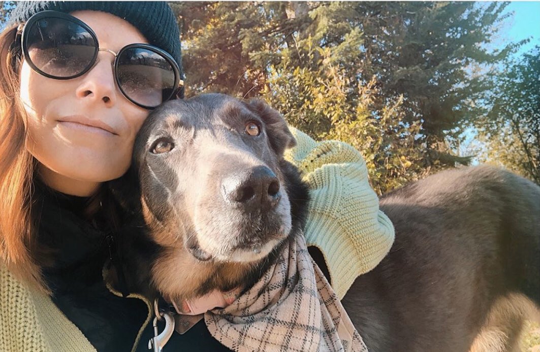 TheSciFiBard's tweet photo. Well Ange has surely got 1 thing right: the pure JOY of #TheHeff™️ IS incomparable!🥳

She’s a delectable dancer!
She’s an amazing actress!
She’s a caring canine companion!

As Widow Beth she owned the screen as 1 of the Sister Wives!🕷😱

WE LOVE YOU HEFF!😘👏
#EarpVarietyFriday https://t.co/EGJ1v7M1Hg