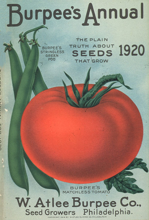 BurpeeGardening's tweet photo. 100 years of #innovations ▪️ The 1920's were full of new gardening trends; greenhouses, beekeeping and canning. #Burpeeseeds also had many new varieties that year; beans, tomatoes, radish, and asters! https://t.co/hHnEOkQa5T