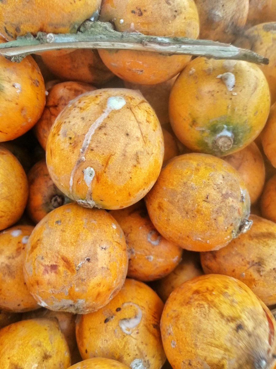 Agbalumo ; popularly called Cherry (not sure of the spelling) in the South. Tastes better when it slaps the mouth, literally.