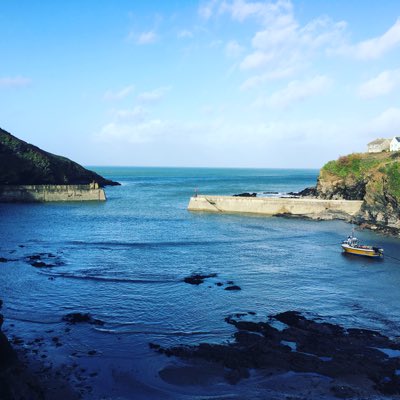 cornishpixx's tweet photo. #NewProfilePic https://t.co/CrUedL6XLn