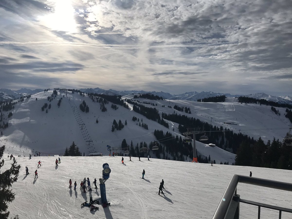 Scheffau Twitter Search