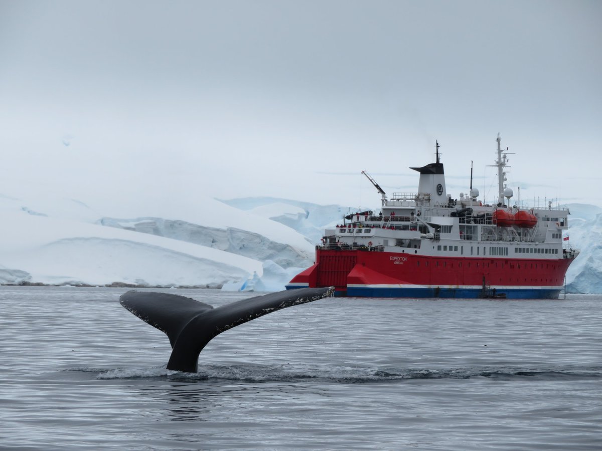 Sarah_Rob78's tweet photo. Happy New Year all. Back from an amazing 2 weeks in Antarctica. Massive thanks to the team and crew onboard @g_expedition and @gadventures for creating a genuine trip of a lifetime. https://t.co/tF2KGiFeNx
