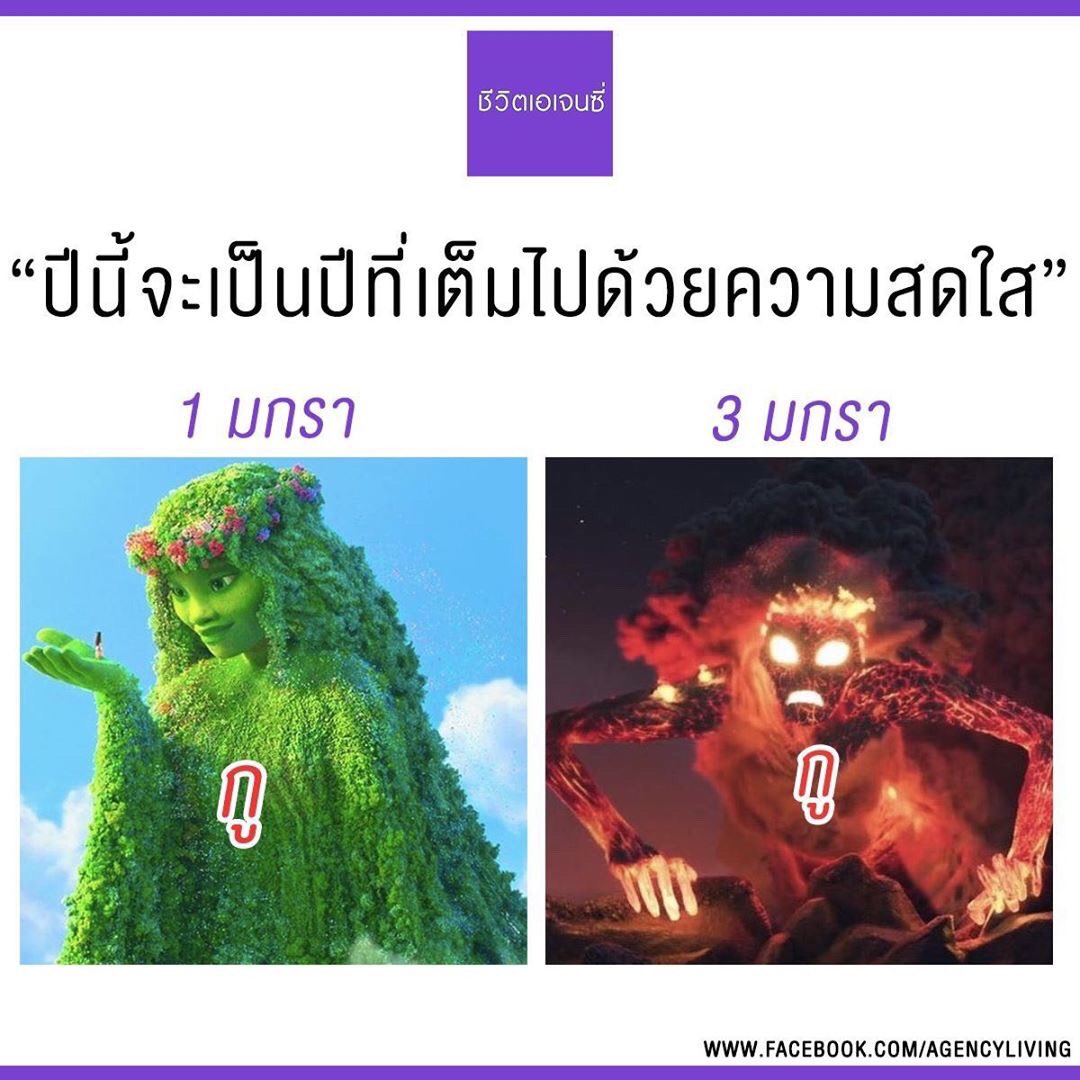 minto🍅 tweet media