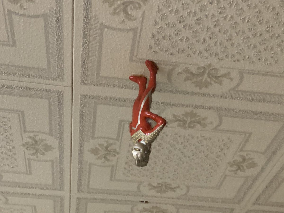 実家の天井に付いている物 昔からあったから疑問に思わなかったけど 今考えると怖い 誰がなんのためにやったの Togetter