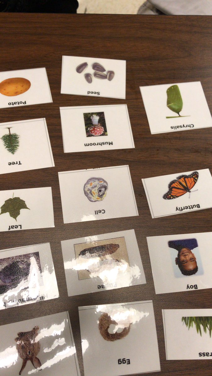 abrunson1311's tweet image. Living versus NonLiving  @cobbscience @STEMcobb #cobbscience #stemcobb