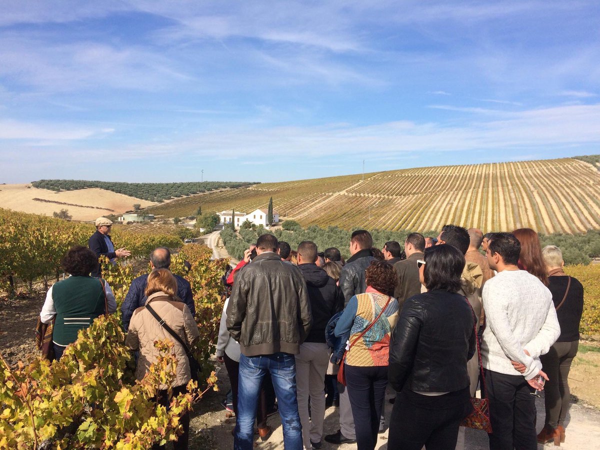 MontillaMoriles's tweet photo. ¡Comenzamos el año actualizando nuestro calendario de #BodegasdeGuardia! 
Planifica tu visita a las bodegas de la Ruta del Vino @MontillaMoriles https://t.co/0lrQXLaynx #MontillaMoriles #ConectaconTuRuta @rutasvinoespana https://t.co/GgDzJkNNQB