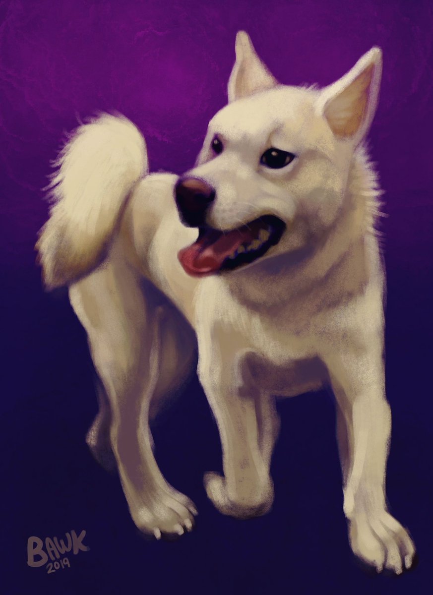 bawkyart's tweet photo. Happy New Year! 🎊

I’m celebrating the new year with a free digital pet portrait done on my iPad in #Procreate! 🎉 To enter, you must follow &amp; RT. Ends January 8th at midnight CST. 

🎇 If this gets above 500 RTs, I will pick a 2nd winner. https://t.co/qXl60Bh5q8
