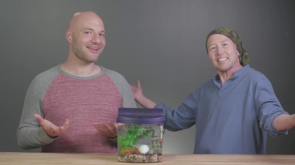 Udacity hosts teaching Kotlin with a fish tank on the desk in front of them. 