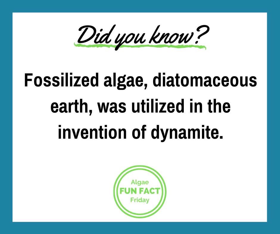 algeternal's tweet photo. #AlgaeFunFactFriday #themoreyouknow #algae 

Fossilized algae, diatomaceous earth, was utilized by Immanuel Nobel in the invention of dynamite. Thank you Algae Technology Educational Consortium https://t.co/5XEA5YBYuj for sharing. https://t.co/Q5GhC5tkQS
