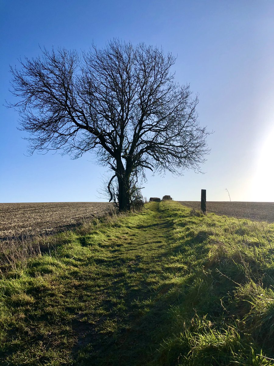 cottage_weavers's tweet image. Lovely walk in the winter sunshine  #HolidayCottage #dogfriendly #Walking #Cotswolds #GreatBritain @CanineCottages