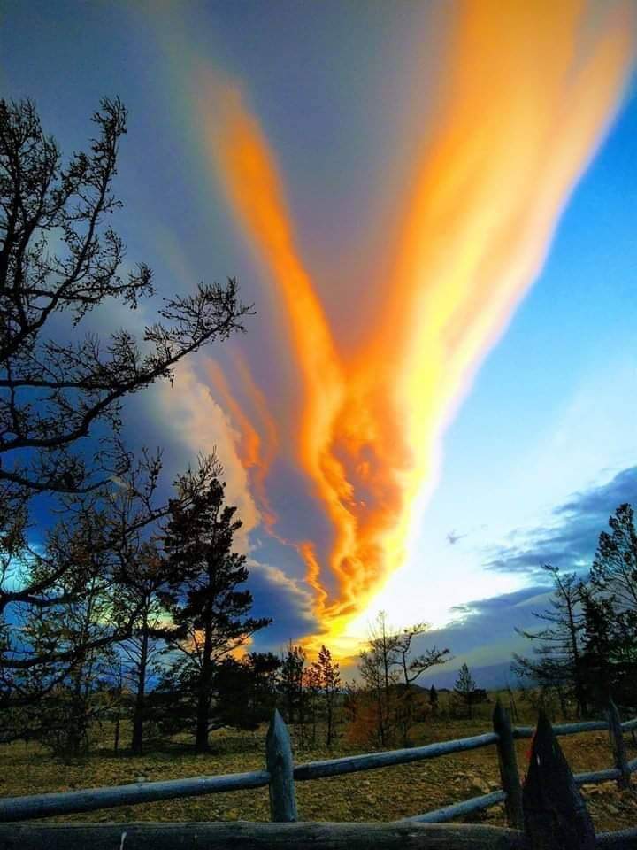 borntwice522's tweet photo. Looks like the hands of Jesus reaching down to you and I, just beautiful! #OneBeautifulThing a day on Twitter https://t.co/2NNEQBcW0L