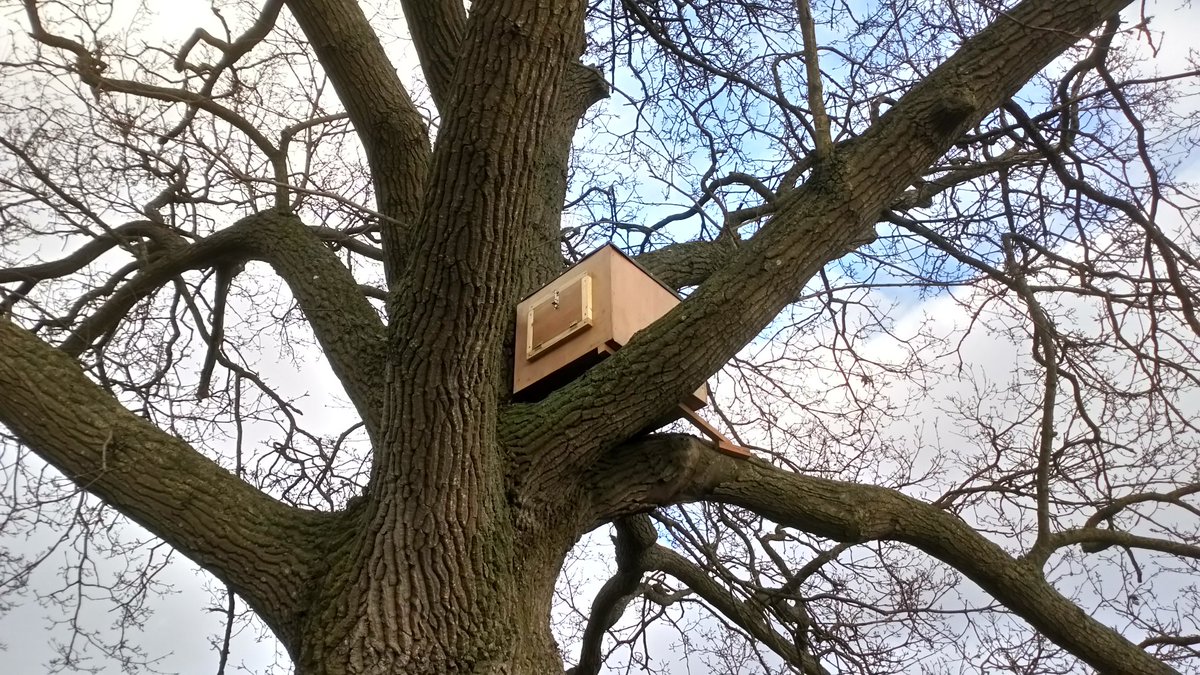 GreenKeepen's tweet image. New barn owl box installed to replaced the old one that had seen better days. #familyproject @Chris_Keepen