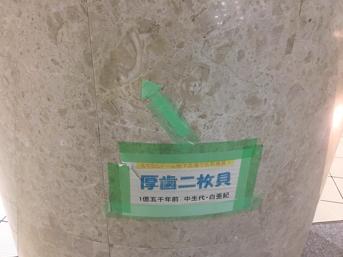 金沢駅の地下が最高すぎると話題に！！