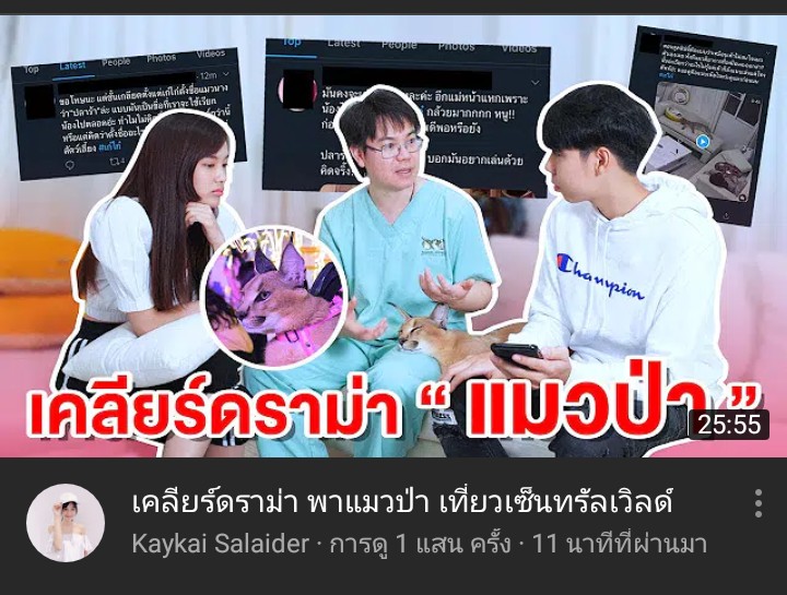 pet_space's tweet photo. คุณหมออ้อย นอกจากจะเป็นคุณหมอประจำโรงพยาบาลสัตว์แอนิมอลสเปซแล้ว ยังเป็นประธานชมรมสัตวแพทย์สัตว์เลี้ยงชนิดพิเศษ รวมถึงเป็นอาจารย์พิเศษในหลายมหาวิ���ยาลัย ดังนั้นจึงเป็นการให้ความเห็นในมุมมองของสัตวแพทย์เท่านั้น ไม่ลำเอียงค่ะ #เก๋ไก๋ #แมวป่า #แมวคาราเคิล https://t.co/kSSIr1sW9z