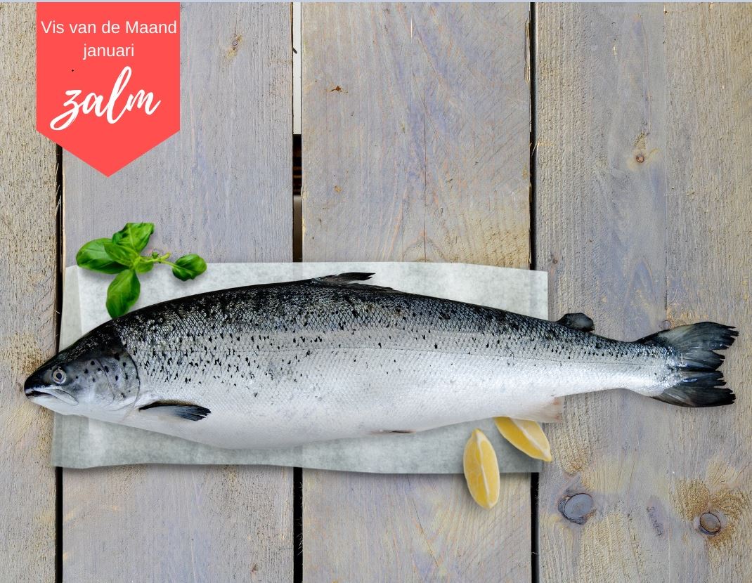 In 2020 begint de kalender met de #visvandemaand zalm. Lees de laatste nieuwsbrief hier: visrecepten.nl/nieuws/archief…