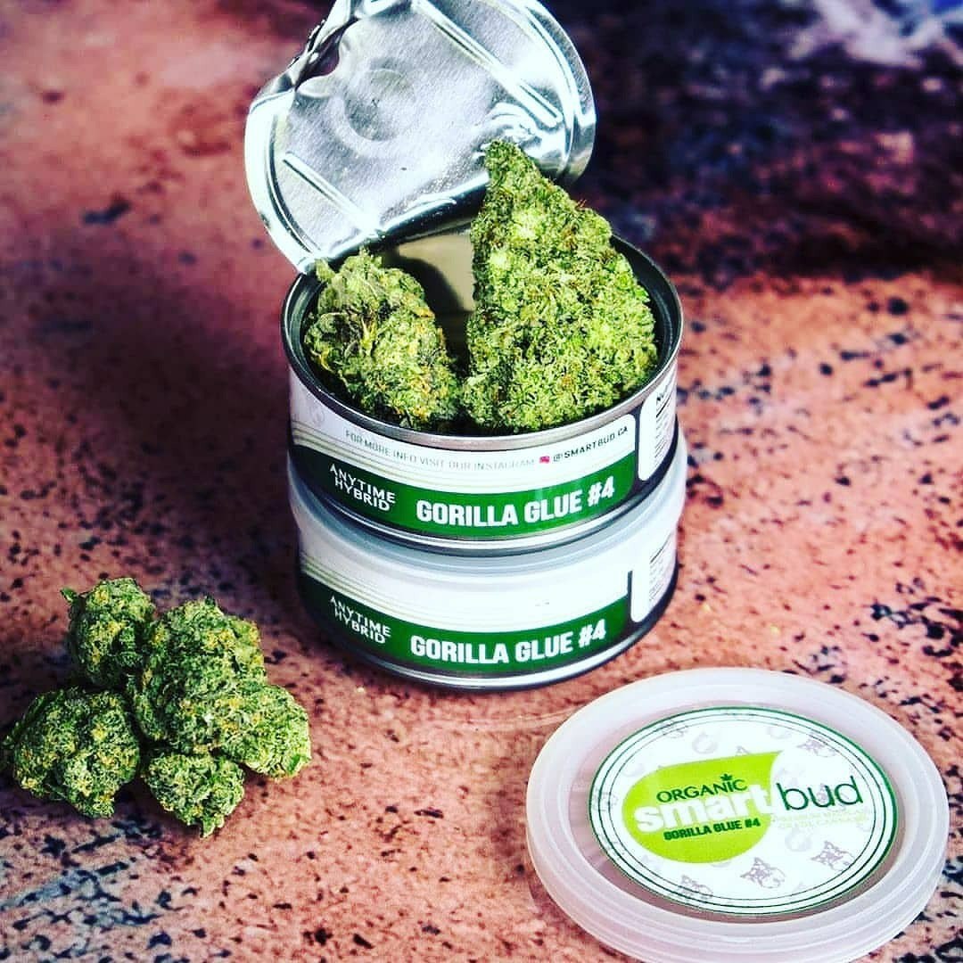Uberbeuh33's tweet photo. .Inbox via 👇👇👇
WhatsApp: +33 6 44 68 75 03
Wickr: uberbeuh33
Telegram: uber_beuh
#prilaga #hôtelfrance #hotelfranceetchateaubriand
#hotelfrancês #hotelfranceschifortedeimarmi
#hotelfrancedantin #hotelfrancealbion #hotelfranceinn
#hotelfrancescsingular https://t.co/Sm6x2pK2xI