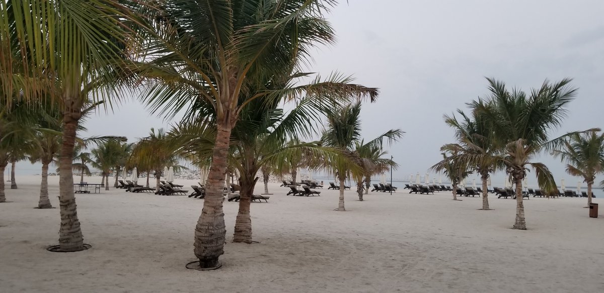 Is anyone else excited to visit gorgeous Ras Al Khaimah for #IWAM2020? Reply and let us know what you hope to gain during our 3 day workshop on the latest advances in #materials #science.