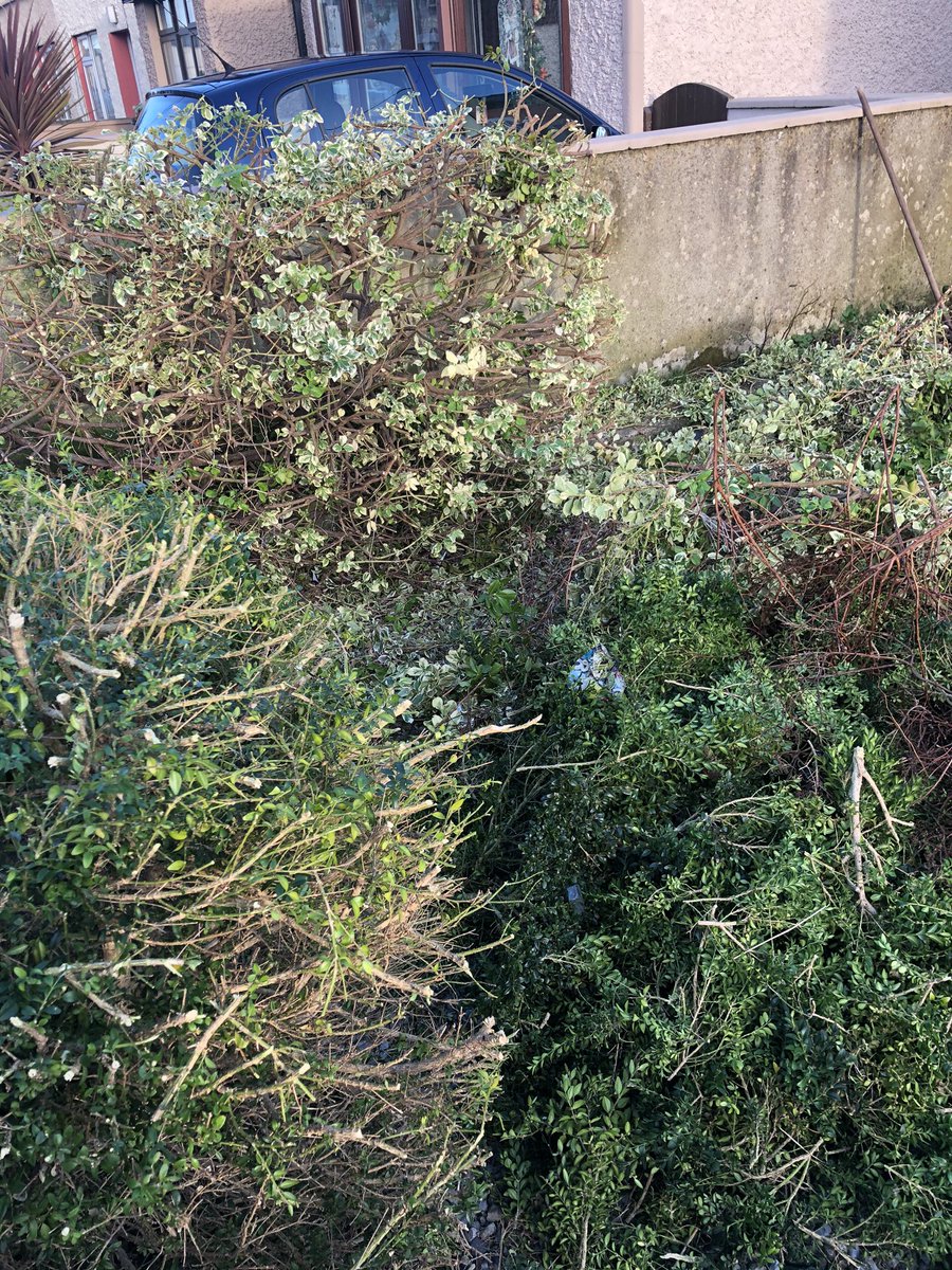 efbman's tweet image. #manuallabour