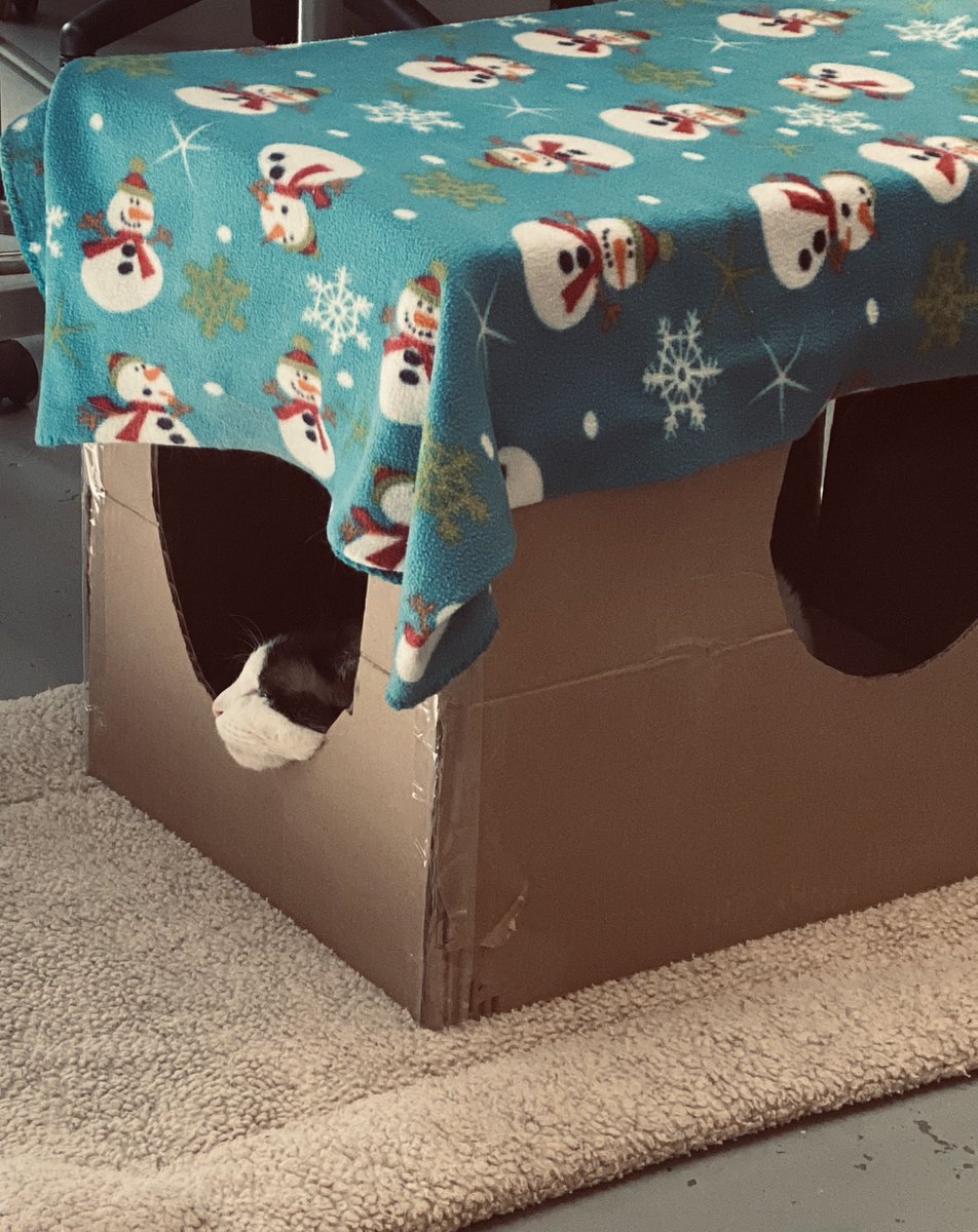 Bend Spay+Neuter tweet media