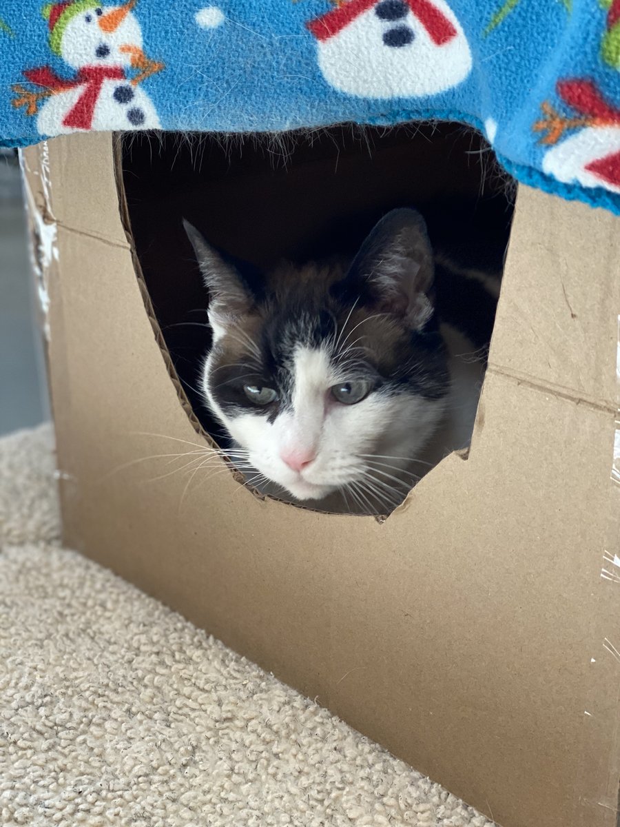 Bend Spay+Neuter tweet media